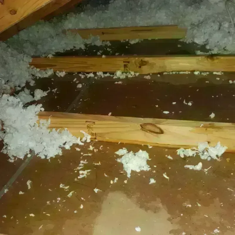 Attic Water Damage in Bernie, MO