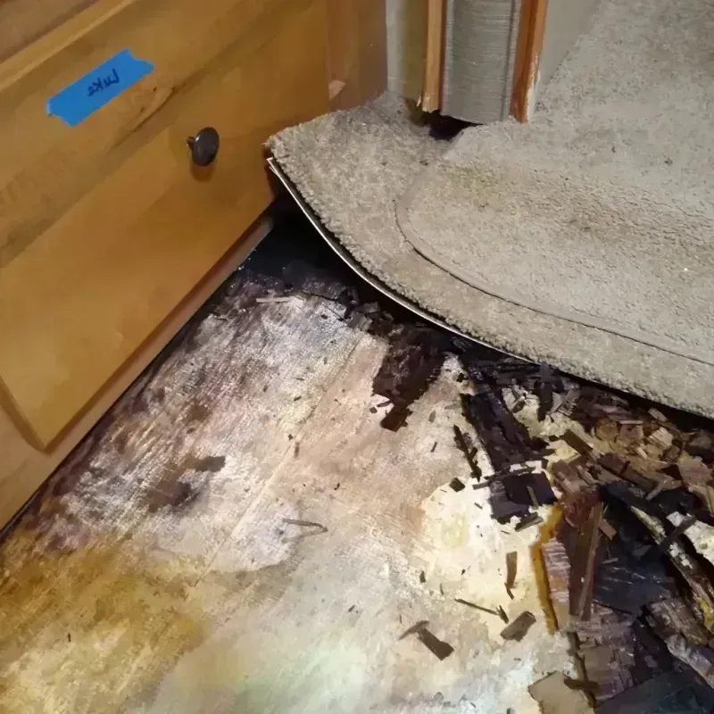 Wood Floor Water Damage in Bernie, MO